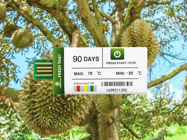 temperature-monitoring-during-the-transport-of-durian2.jpg